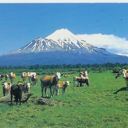 Wheatly Downs Farmstay And Backpackers Hawera Eksteriør bilde